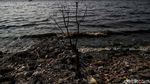 Nestapa Sampah Plastik di Tengah Hari Laut Sedunia
