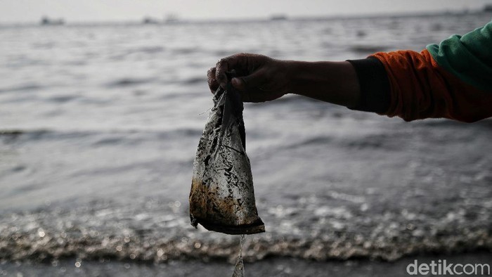 Pekerja Dinas Lingkungan Hidup membersihkan Pantai Cilincing di Jakarta, Selasa (8/6/2021). Pada 8 Juni diperingati sebagai Hari Laut Sedunia, peringatan ini dilakukan sebagai bentuk perhatian akan pentingnya ekosistem laut yang selama ini menjadi sumber daya yang dibutuhkan manusia.