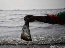 Ini Sederet PR untuk RI Capai Bebas Plastik di 2040