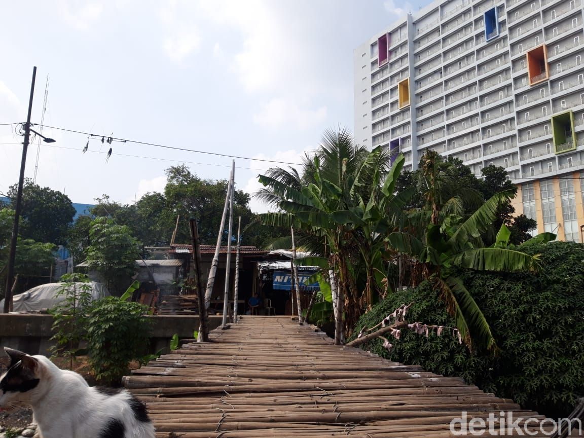 Jembatan penyeberangan orang (JPO) bambu reyot di Kampung Rawa Barat dan Kamung Rawa Timur, Kebon Jeruk, Jakarta Barat, 8 Juni 2021. (Rakha Ariyanto Darmawan/detikcom)