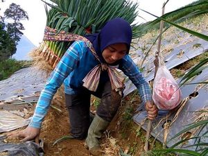 Cerita Pedangdut Seksi Kini Hijrah dan Jadi Petani, Lebih Memaknai Hidup