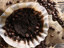 Begini Akibatnya Jika Sering Buang Ampas Kopi ke Saluran Air