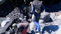 Sejumlah penambang tengah mengumpulkan pasir di alur Sungai Woro di lereng Gunung Merapi wilayah Kecamatan Kemalang, Klaten, Jawa Tengah, Selasa (8/6/2021).