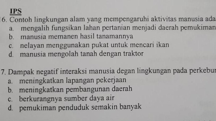 Soal ujian SD di Kampar, Riau, diprotes karena diduga ada kampanye negatif soal sawit (Dok Istimewa)