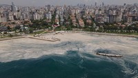 Wabah ini membentang sepanjang Laut Marmara yang menghubungkan Laut Hitam dan Laut Aegea.  