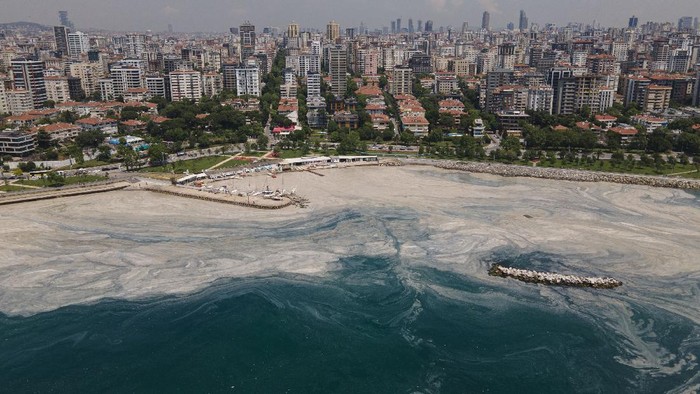 Wabah 'Ingus Laut' Ancam Ekosistem Laut Turki People enjoy the beach at the Caddebostan shore, in Asian side of Istanbul, Monday, June 7, 2021, covered with marine mucilage, a thick, slimy substance made up of compounds released by marine organisms, in Turkey's Marmara Sea. Turkey's President Recep Tayyip Erdogan promised Saturday to rescue the Marmara Sea from an outbreak of