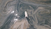 Pada tahun yang sama, ingus laut juga ditemukan di Laut Aegea dekat Yunani.   