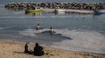 Wabah Ingus Laut Ancam Ekosistem Laut Turki