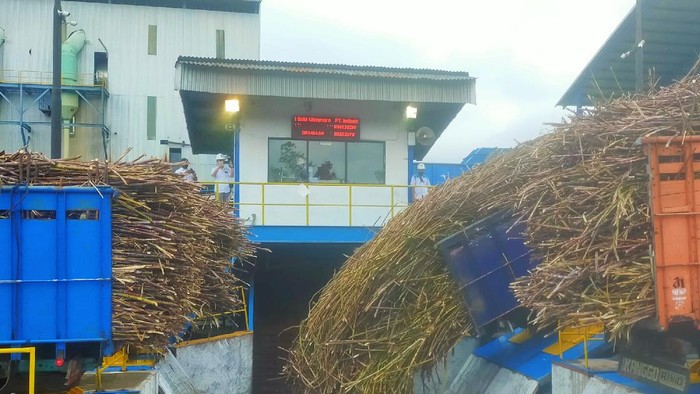 Anak usaha PTPN XII genjot produksi gula 61 ribu ton