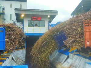 Anak Usaha PTPN Genjot Produksi 61 Ribu Ton Gula