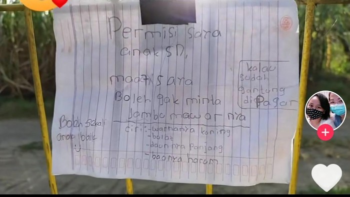 Bocah SD di Sleman tulis surat untuk minta buah jambu milik tetangganya, Rabu (9/6/2021).