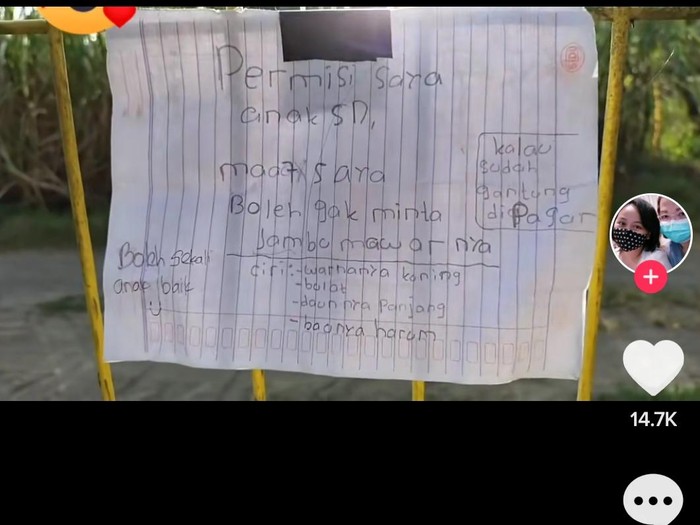 Bocah SD di Sleman tulis surat untuk minta buah jambu milik tetangganya, Rabu (9/6/2021).