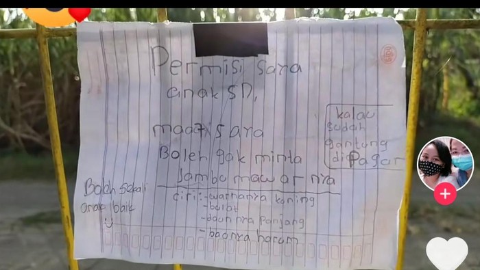 Bocah SD di Sleman tulis surat untuk minta buah jambu milik tetangganya, Rabu (9/6/2021).
