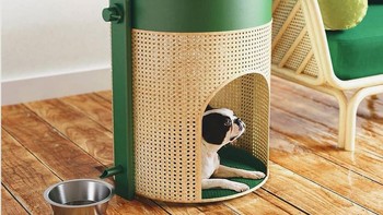 Sebuah rumah anjing menggunakan kelebihan air dari menyiram tanaman dan menyaringnya ke dalam mangkuk air anjing. Foto: Brightside