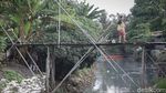 Masih Ada Loh Jembatan Kayu di Jakarta