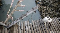 Jembatan ini satu-satunya akses bagi warga Kampung Rawa, mereka membangun jembatan itu dengan anggaran swadaya masyarakat dan ketika rusak mereka berinisiatif mengganti sendiri kayu lantai jembatan itu agar tidak ambruk. 