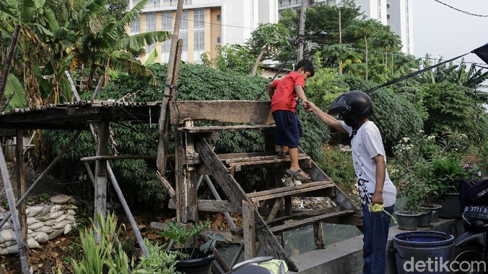 Maraknya pembangunan infrastruktur terus digenjot pemerintah. Namun, di tengah hiruk pikuk ibu kota masih ada loh jembatan kayu.