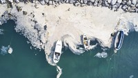 Ingus laut itu sudah menyelimuti Laut Marmara selama hampir satu pekan dan jadi ancaman bagi ekosistem laut di sana.  