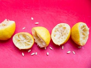 Dosen UNS Beri Tips Mengelola Sisa Makanan agar Tak Menjadi Sampah