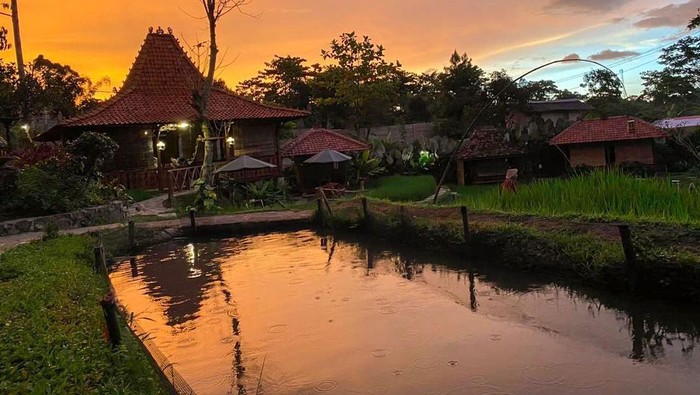 Sawah Segar Sentul