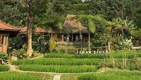 Kawasannya juga instagramable. Pesawahan yang cantik bisa menjadi latar foto OOTD traveler. 