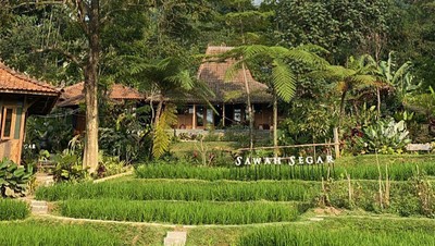 Foto Restoran Unik Berkonsep Persawahan di Sentul