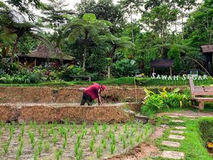 5 Wisata Alam di Bogor yang Lagi Hits, Cocok Buat Melepas Penat