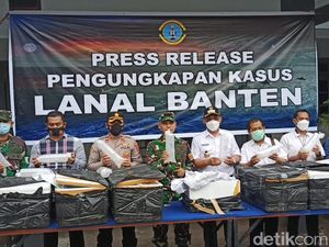 Penyelundupan Benur Senilai Rp 7,8 M ke Vietnam Digagalkan TNI AL