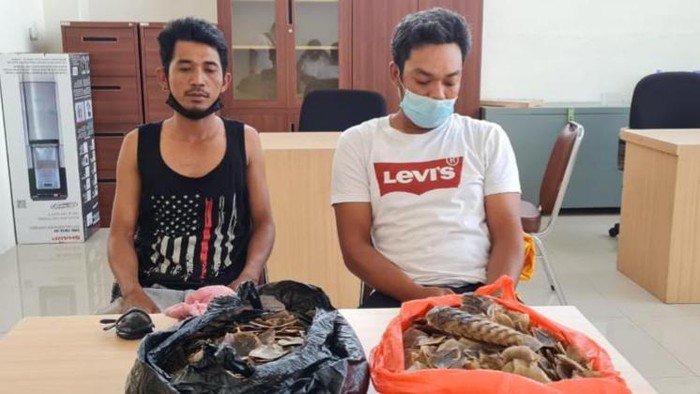 2 penjual sisik trenggiling di Riau