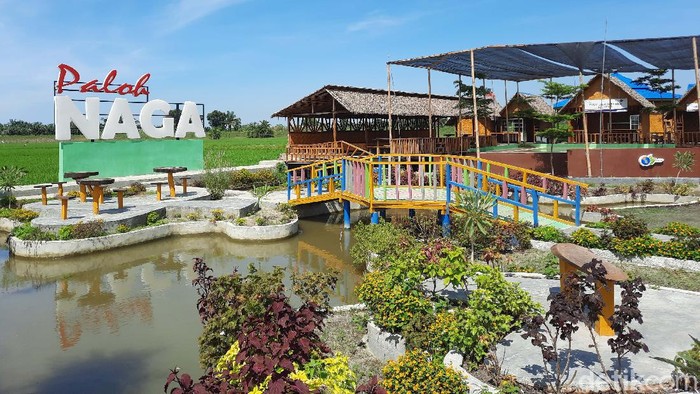 Denai Lama, Dulu Tempat Jin Buang Anak Kini Bernilai Ratusan Juta Denai Lama dapat disebut desa yang berhasil bermetamorfosis dari upik abu menjadi jelita. Tempat ini kini punya nilai ekonomi mencapai ratusan juta rupiah.