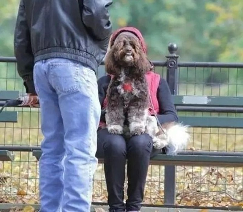 fotoinet foto tipu mata