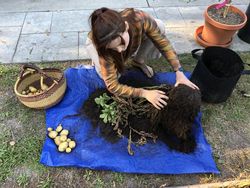 Foto Ilusi Lucu yang Bikin Mata Kebingungan
