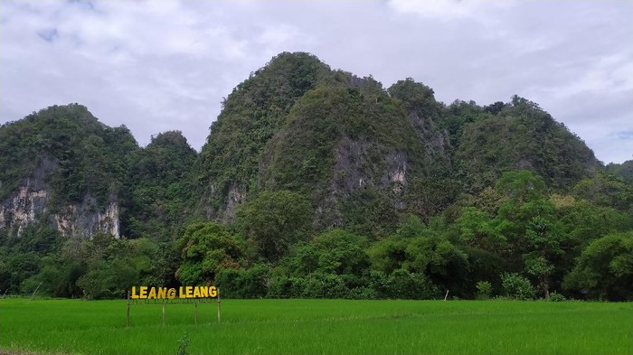 Leang-leang di Taman Nasional Bantimurung Bulusaraeng, Sulses