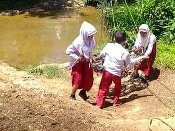Murid SD di Riau nyeberang sungai bak flying fox