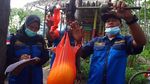 Panen Raya Melon dan Labu Madu di Tengah Pandemi