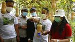 Panen Raya Melon dan Labu Madu di Tengah Pandemi