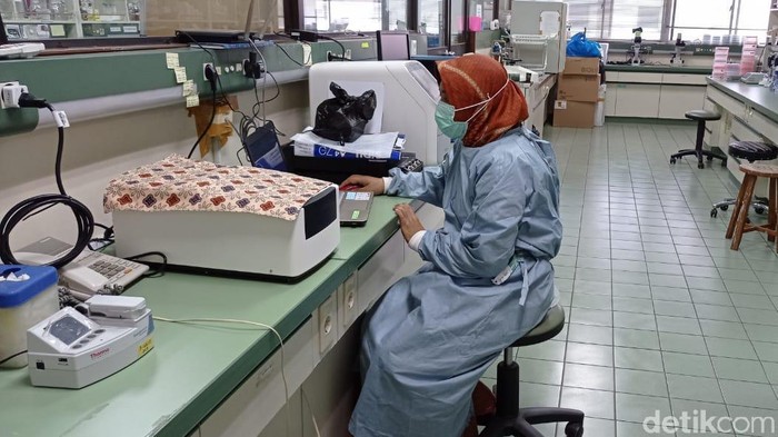 Peneliti ITD kaji potensi tanaman asal Sulteng jadi obat anti-HIV