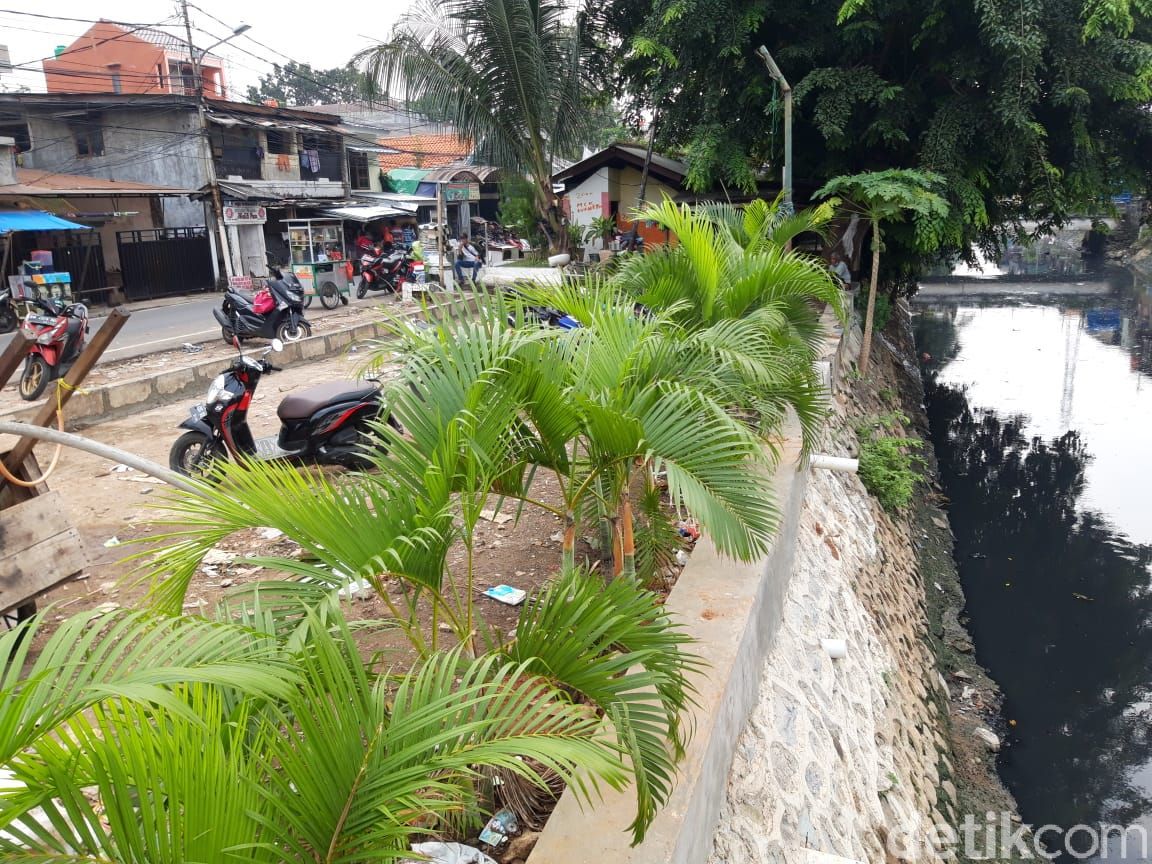 Tumbuh-tumbuhan di Jembatan Kota Paris. 10 Juni 2021. (Rakha AD/detikcom)