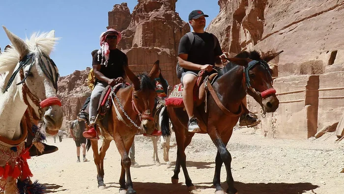 Wisata keledai di Petra