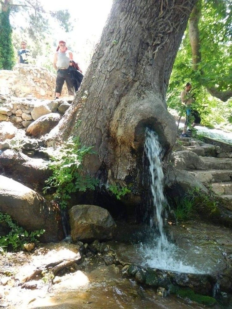 fotoinet foto alam unik