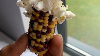 Cara jagung ini memutuskan untuk meletus. Foto: Brightside
