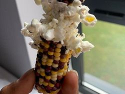 Potret Alam Aneh yang di Luar Perannya