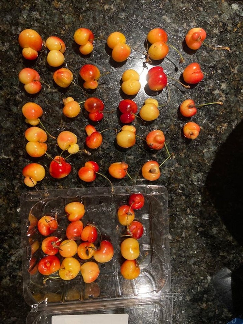 fotoinet foto alam unik