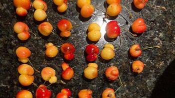 Sebagian besar ceri di kotak ini bermutasi dengan cara tertentu. Foto: Brightside