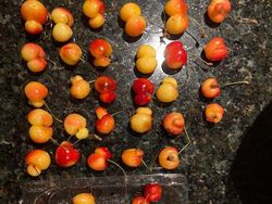 Potret Alam Aneh yang di Luar Perannya