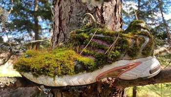 “Adidas ini yang kami temukan saat mendaki.” Foto: Brightside