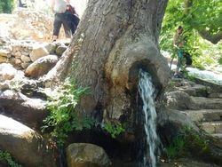 Potret Alam Aneh yang di Luar Perannya