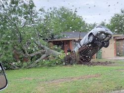 Potret Alam Aneh yang di Luar Perannya