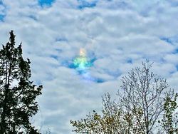 Potret Alam Aneh yang di Luar Perannya