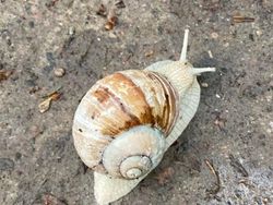 Potret Alam Aneh yang di Luar Perannya